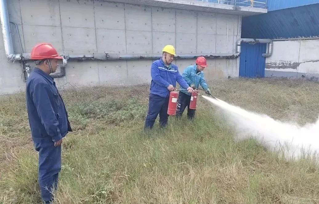 1766026214140038.jpg 1766026214140038.jpg